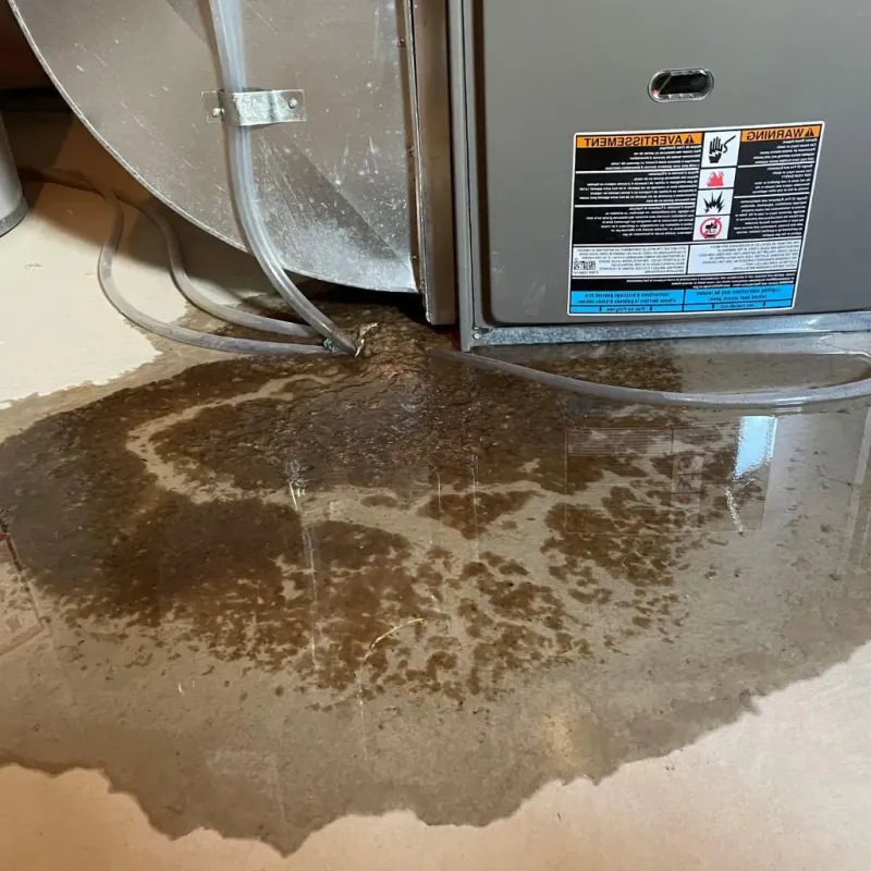 Pipe Burst and Leak Restoration in Bennington County, VT