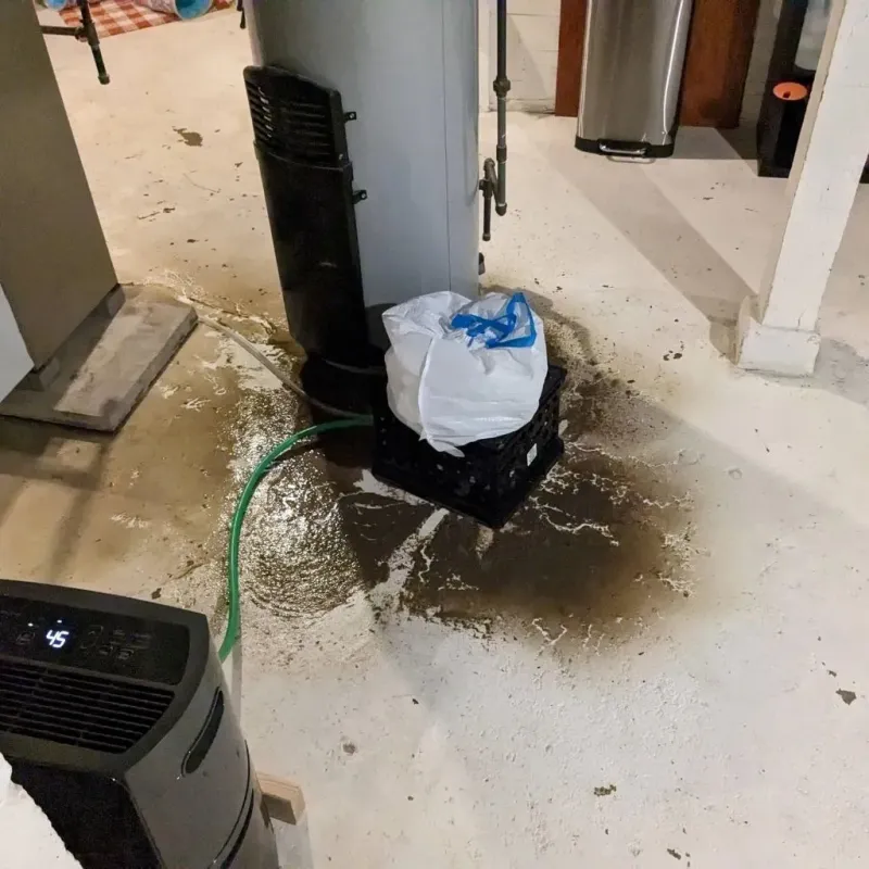 Sewage Backup Cleanup Service in Bennington County, VT